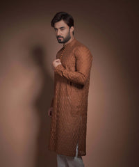 Burnt Sienna/Brown Honeycomb Chikankari Kurta