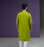 Dhanak - Parrot Green & Gold